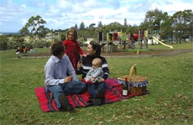 Blackbutt Forest Reserve - Find Attractions