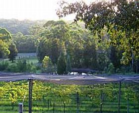 Lyrebird Ridge Organic Winery - Find Attractions