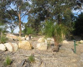 Curtis Park Arboretum - Accommodation Sunshine Coast