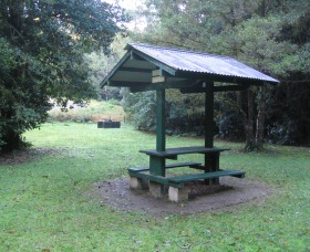Pine Creek State Forest - Accommodation in Brisbane