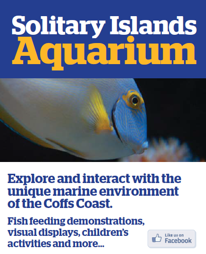 Solitary Islands Aquarium - thumb 5