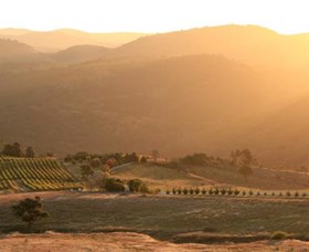 Brindabella Hills Winery - Lightning Ridge Tourism