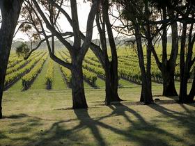 Henry's Drive Vignerons - Attractions Melbourne