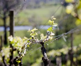 Mount Cole WineWorks - Attractions Melbourne