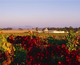 Morris Wines - New South Wales Tourism 