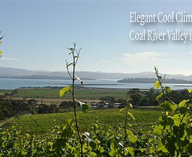Coal Valley Vineyard - thumb 5