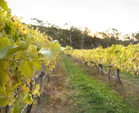 Harcourt Valley Vineyards - Accommodation Redcliffe