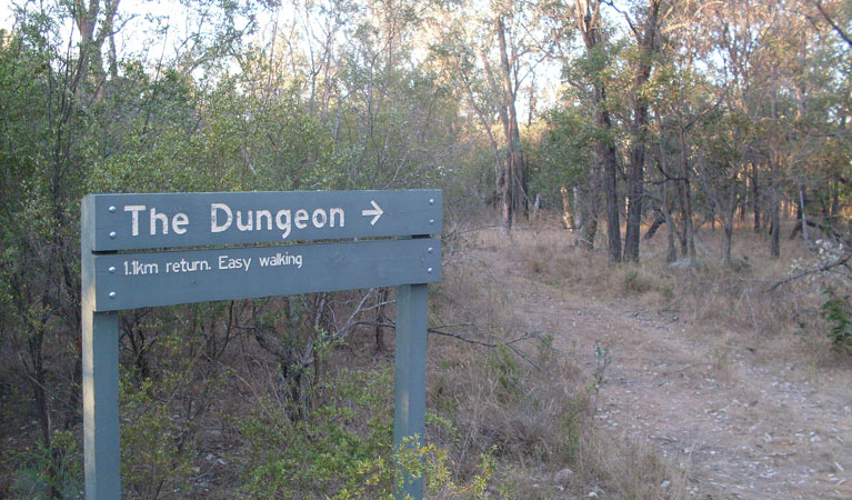 Dungeon lookout - Inverell Accommodation