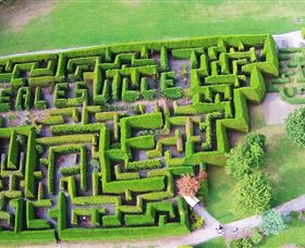 Hedgend Maze and Healesville Laser Sport - Accommodation Redcliffe