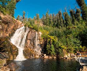 Steavenson Falls Marysville - Tourism Adelaide