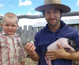 Gleneden Organic Farm And The Gleneden Bullock Team - thumb 2
