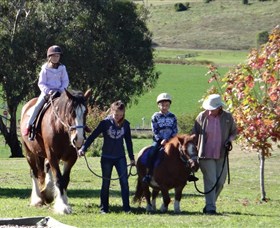 Bathurst Farm Experience - Find Attractions