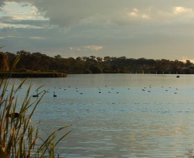 Lake Inverell Reserve - Accommodation Adelaide