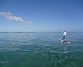 Peninsula Stand Up Paddle - Tourism Cairns