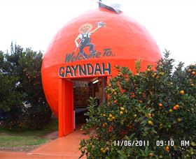 Gayndahs Big Orange - Accommodation Nelson Bay