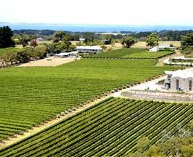 Paringa Estate Winery and Restaurant - Attractions Melbourne