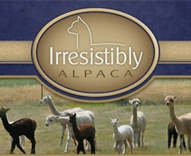 Marchmont Park Alpacas - Whitsundays Tourism