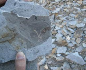 Fossil Rock - thumb 1