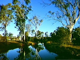 Dingo Creek Park - Wagga Wagga Accommodation