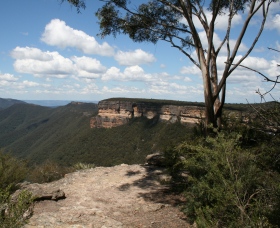 Kanangra-Boyd National Park - New South Wales Tourism 