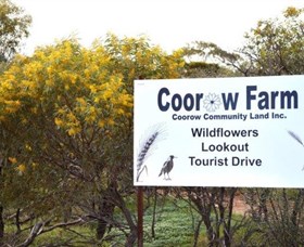 Coorow Farm Wildflower Trail - Accommodation Perth