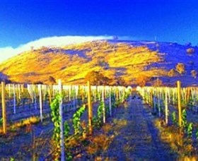 Surveyors Hill Winery - Tourism Adelaide