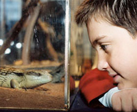 Canberra Reptile Zoo - thumb 0