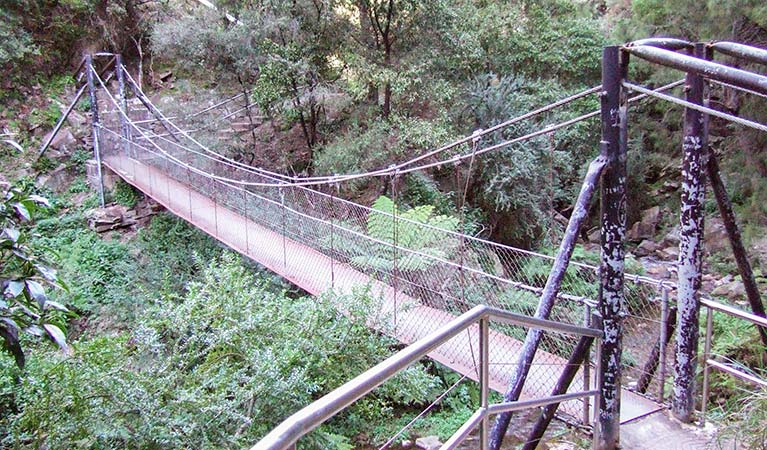 Jenolan River walking track - Accommodation Mount Tamborine