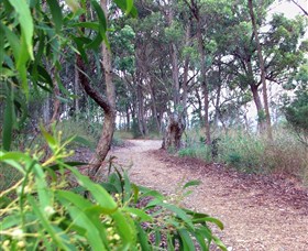 Mount Mutton Walking Trail - Accommodation Nelson Bay