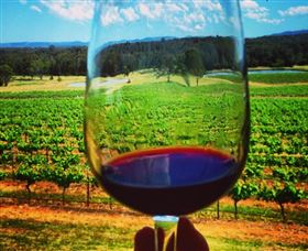 One Day Hunter Valley Day Tours And East Coast Adventures - Zepher Tours - thumb 4