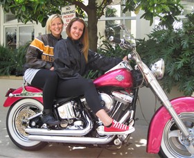 Wild Ride Harley and Motorcycle Tours - Accommodation Sunshine Coast