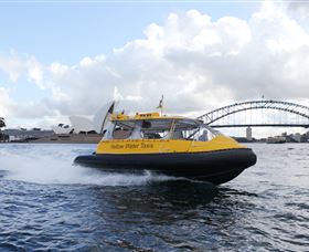 Yellow Water Taxis - thumb 0