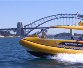 Yellow Water Taxis - thumb 1