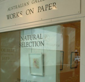 Australian Galleries - Glenmore Road - Maitland Accommodation