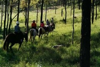 Hunter Valley Horse Riding and Adventures - Accommodation Brunswick Heads