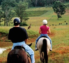 Hunter Valley Horse Riding And Adventures - thumb 3