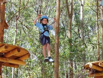 TreeTops Newcastle - New South Wales Tourism 