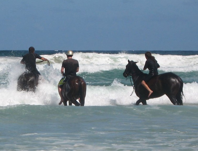 Pegasus Park Equestrian Centre - Surfers Gold Coast