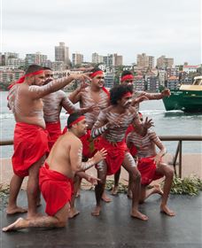 Tribal Warrior Harbour Cruises - thumb 2