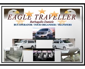 Eagle Traveller - thumb 0
