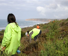 Conservation Volunteers Australia - Sydney - thumb 5