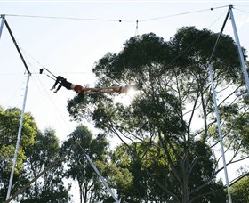 Circus Arts Sydney - thumb 5