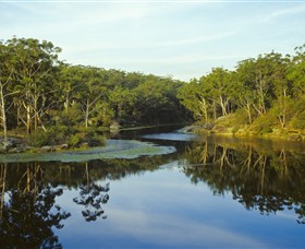 Lake Parramatta Reserve - thumb 0