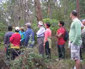 Boronia Tours - Attractions
