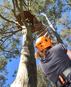 TreeTop Adventure Park Sydney - thumb 3