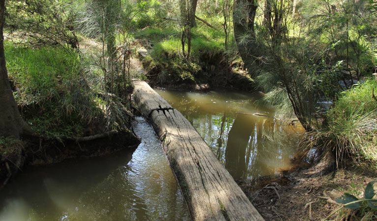 Second Ponds Creek Walk - thumb 2