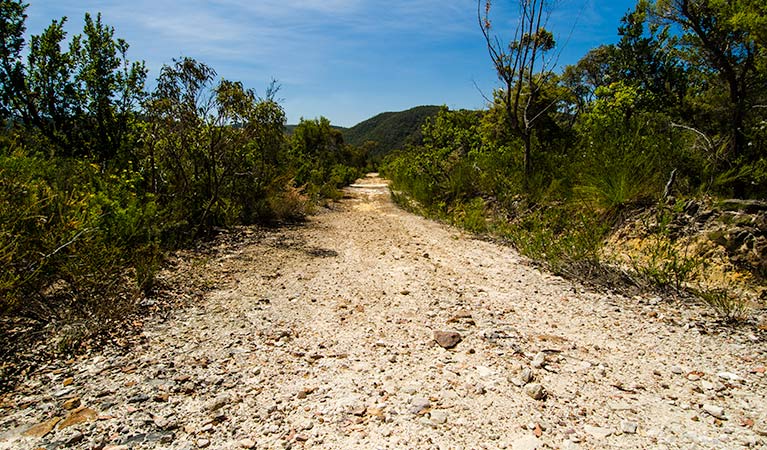 Marramarra Ridge To Smugglers Ridge Walking Track - thumb 1