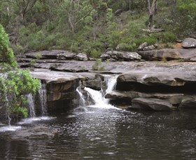 Georges River Nature Reserve - thumb 0