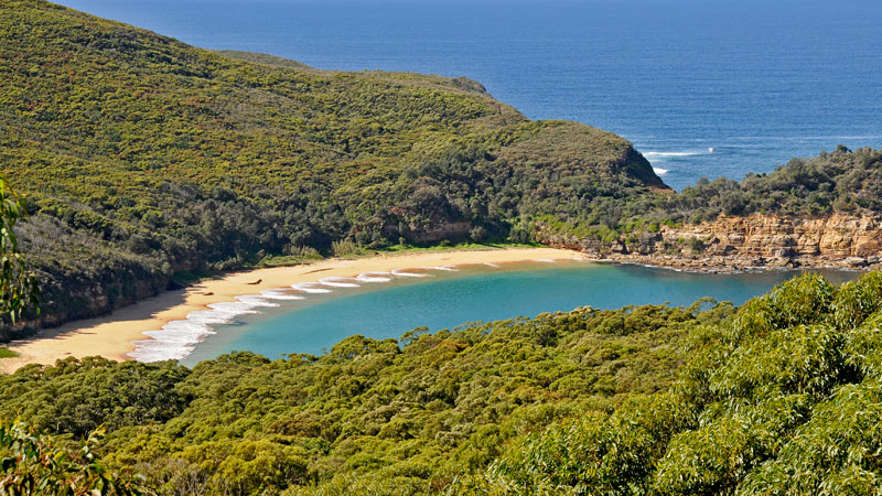 Bouddi National Park - Find Attractions