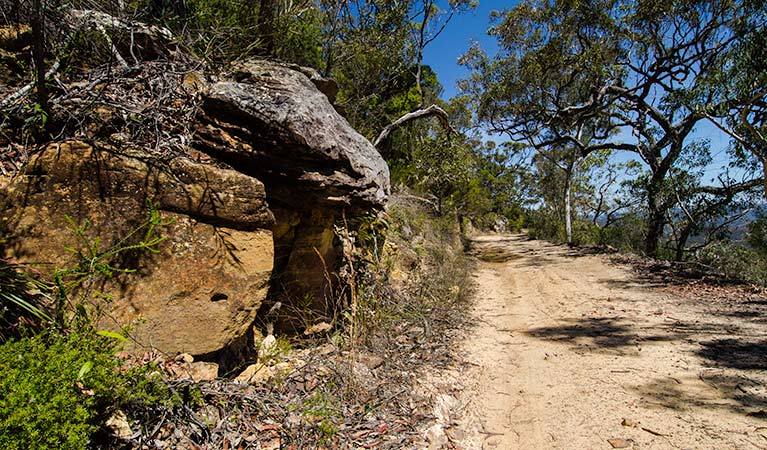 Canoelands Ridge walking track - Sydney Tourism